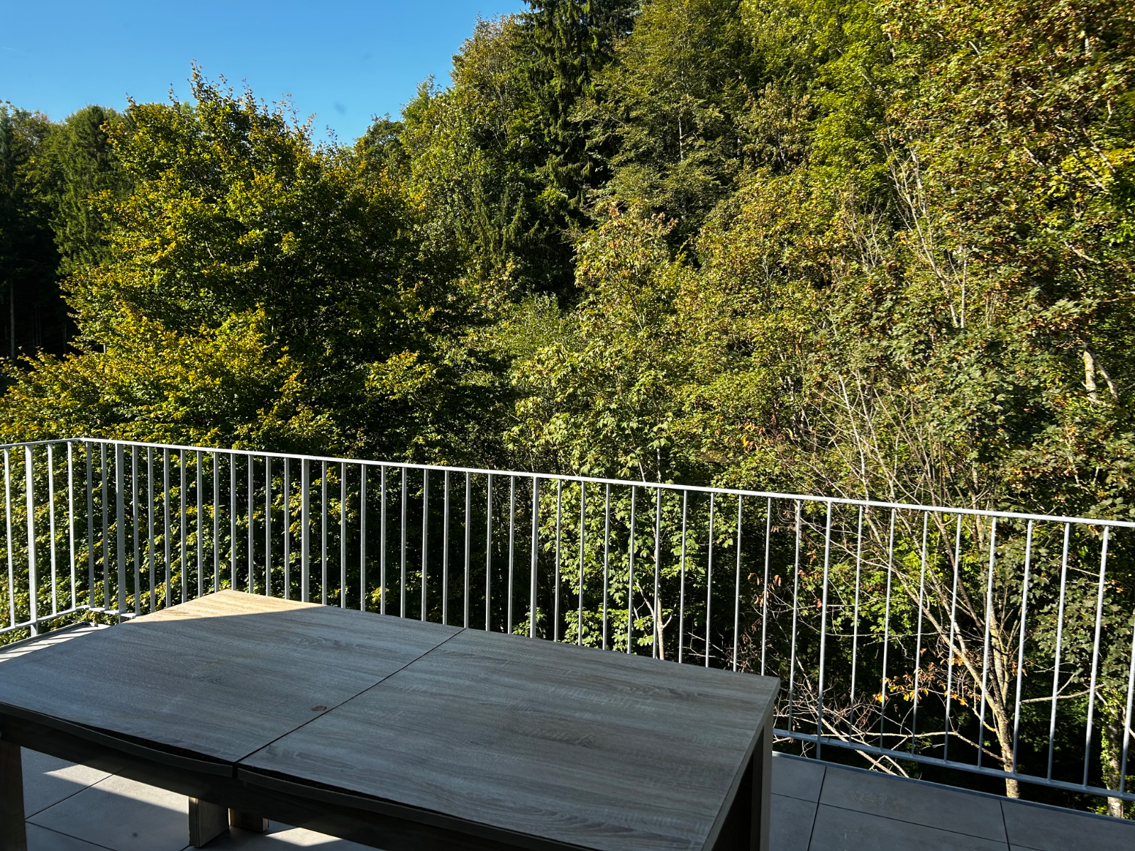 Schönes Zimmer in neuer 4.5 Zimmer Dachwohnung 12