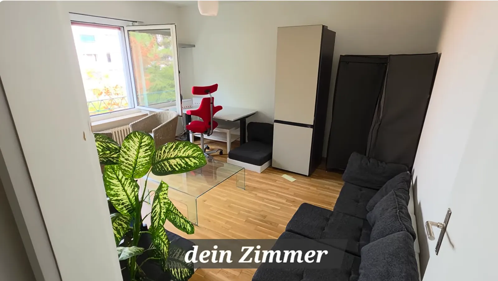 Wunderschönes WG-Zimmer in Basel mit Home-Gym/Balkon! 1