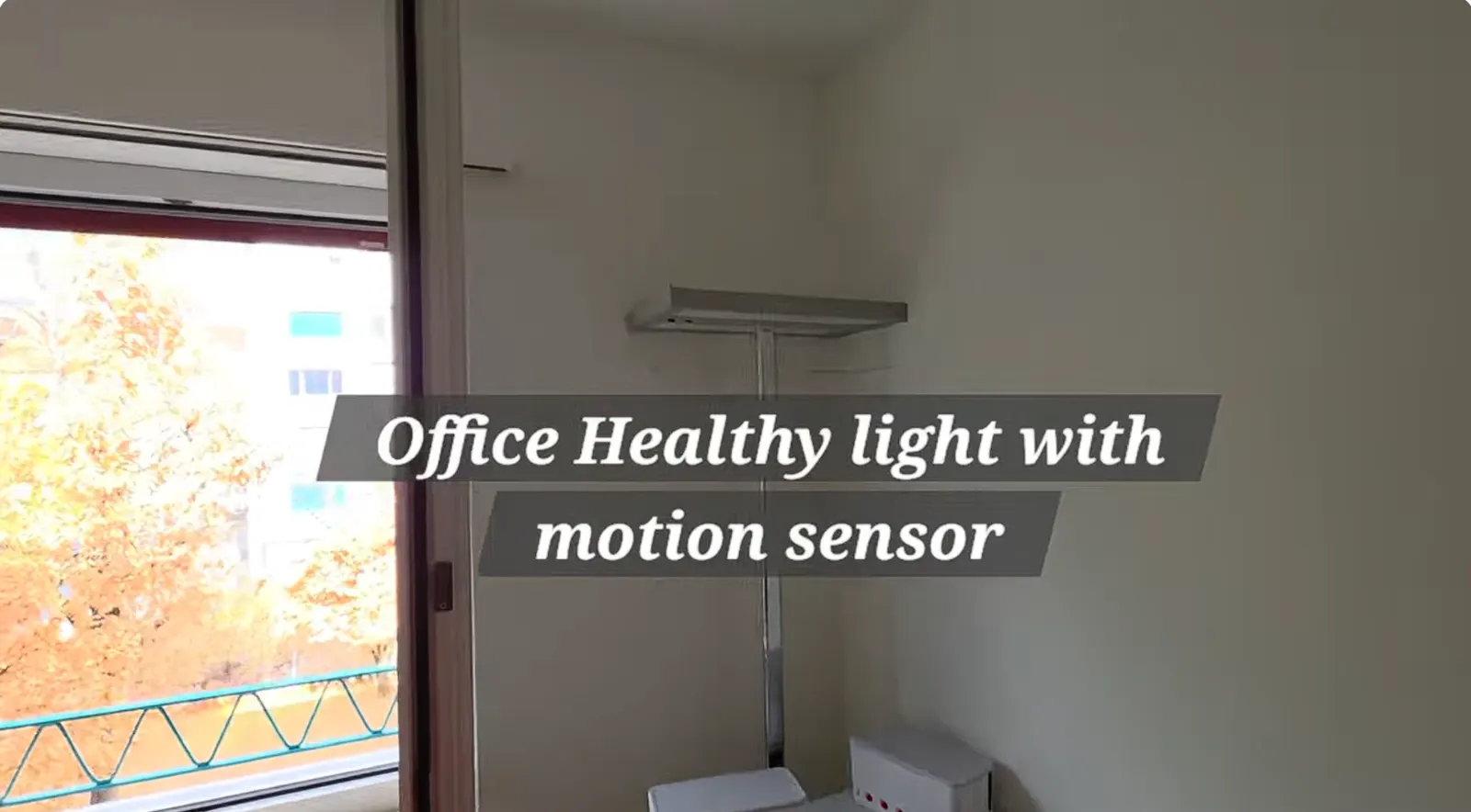 Wunderschönes WG-Zimmer in Basel mit Home-Gym/Balkon! 6